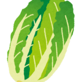 白菜って冷凍保存できるの？白菜を冷凍保存方法や期間、解凍するときに気を付けることは？冬野菜の王様。